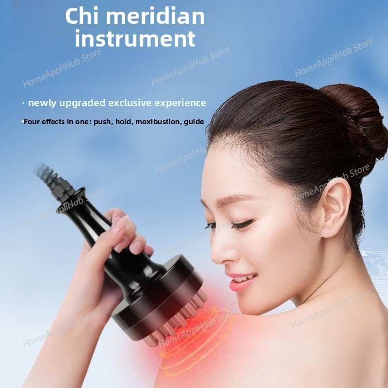 Vitality Meridian Instrument – - Spa Wellness Usa ulasan dan harga